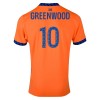 Officiële Voetbalshirt Olympique de Marseille Greenwood 10 Derde 2024-25 - Heren